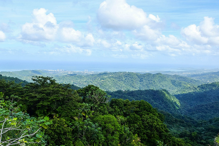 El Yunque and the coast (Photo: Michelle Rae)